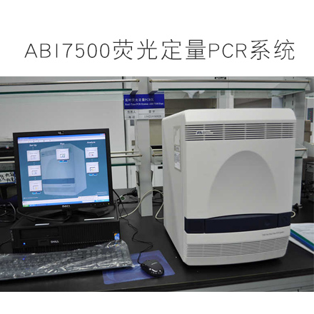 美国ABI7500荧光定量pcr仪系统