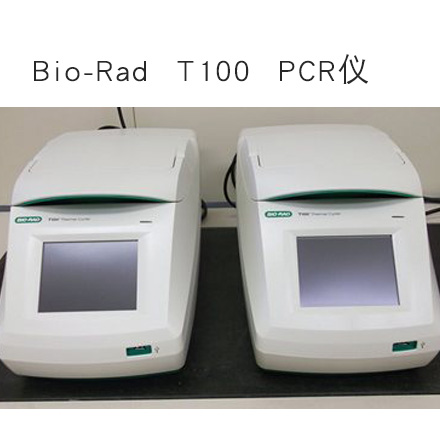 美国伯乐T100 pcr仪